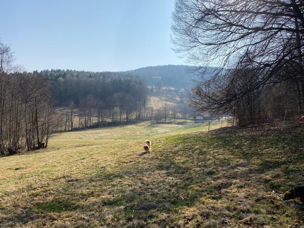 Gartenwohnung Im Gut Sonnenwald Schöllnach Εξωτερικό φωτογραφία
