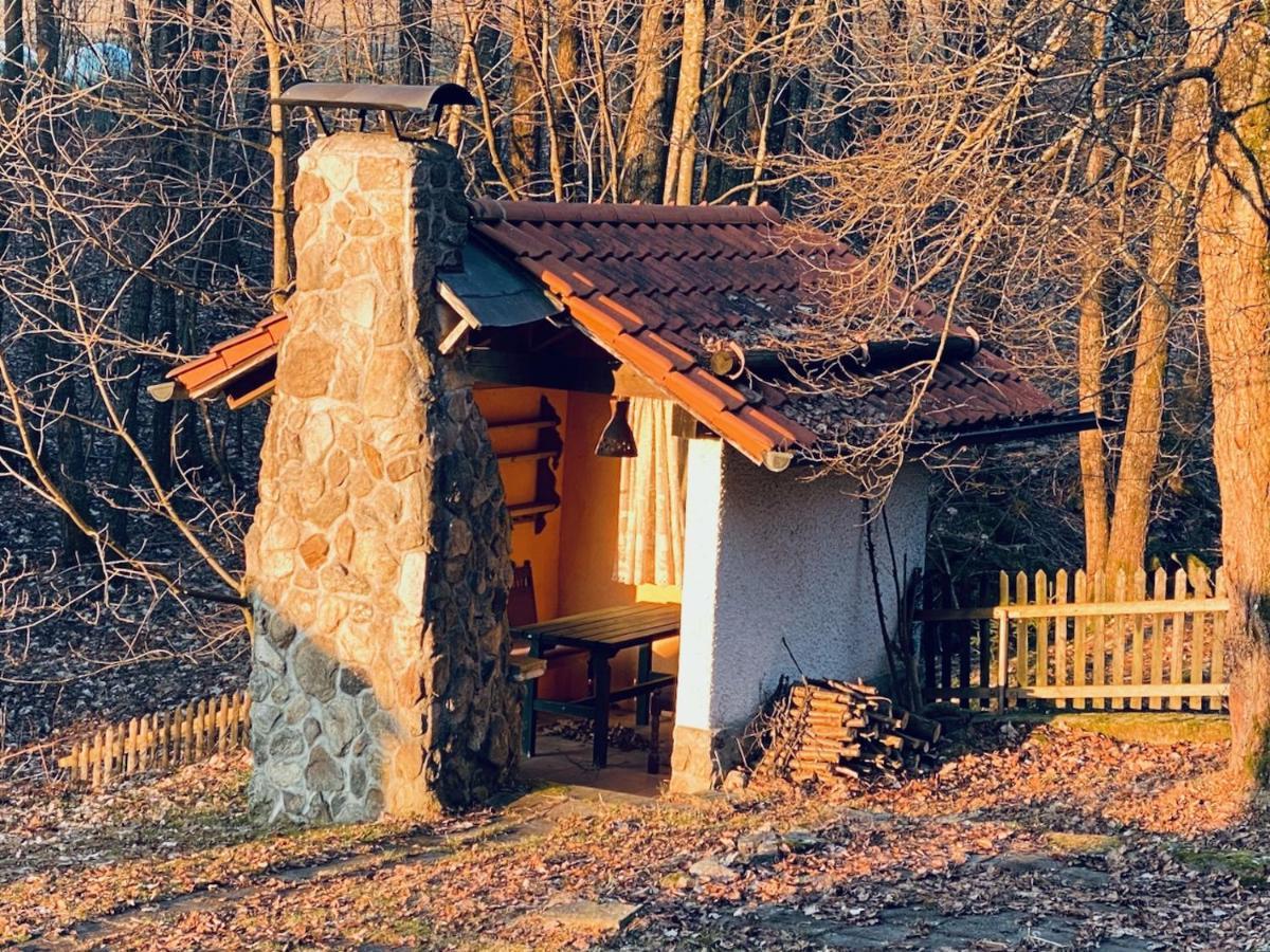 Gartenwohnung Im Gut Sonnenwald Schöllnach Εξωτερικό φωτογραφία